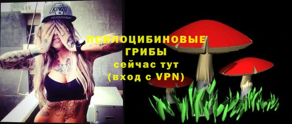 трава Балахна