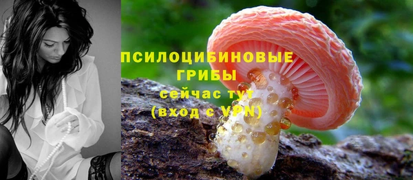 трава Балахна