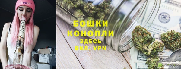 трава Балахна