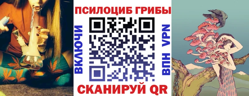 хочу   Обоянь  Псилоцибиновые грибы Psilocybine cubensis 